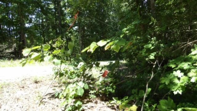 46 Billy Westmoreland Rd, Celina, TN 38551
