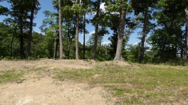 46 Billy Westmoreland Rd, Celina, TN 38551