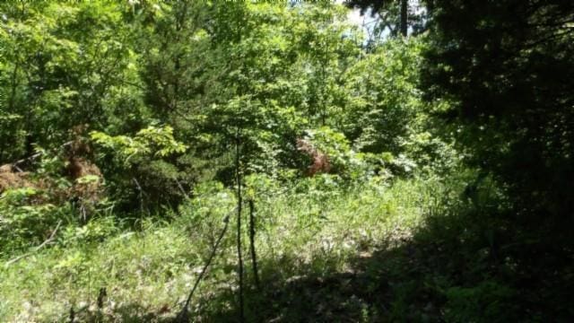 46 Billy Westmoreland Rd, Celina, TN 38551
