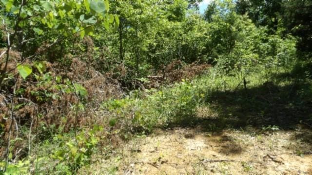 46 Billy Westmoreland Rd, Celina, TN 38551
