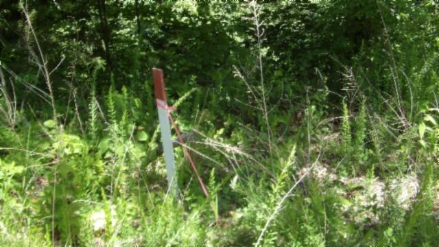 46 Billy Westmoreland Rd, Celina, TN 38551