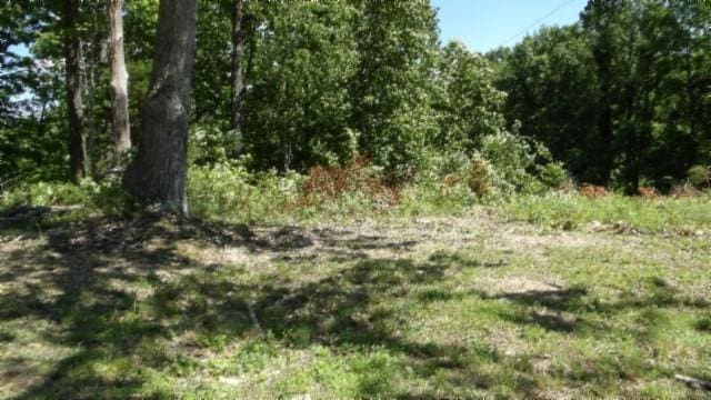 46 Billy Westmoreland Rd, Celina, TN 38551