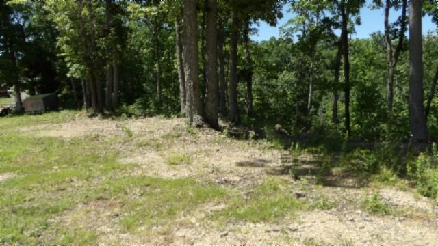 46 Billy Westmoreland Rd, Celina, TN 38551