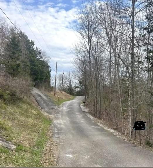 46 Billy Westmoreland Rd, Celina, TN 38551
