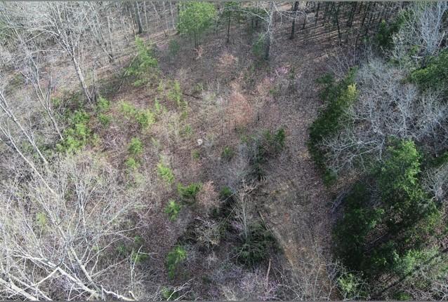 46 Billy Westmoreland Rd, Celina, TN 38551