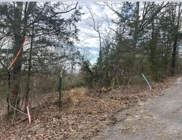 46 Billy Westmoreland Rd, Celina, TN 38551