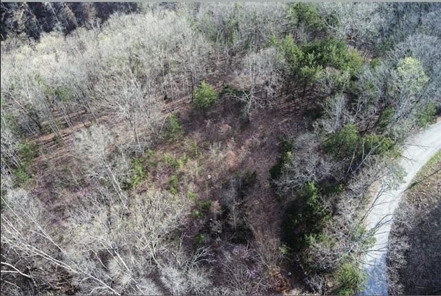 46 Billy Westmoreland Rd, Celina, TN 38551