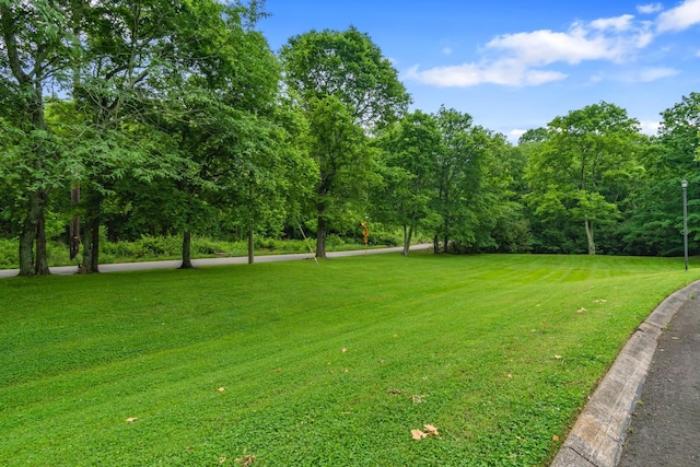 118 Westerly Dr Unit 118, Nashville, TN 37221 - photo 38