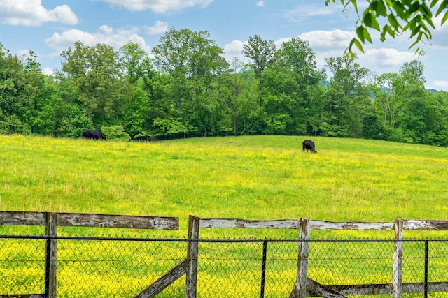 1112 Belmont Dr, Cookeville, TN 38506 - view of yard with fence and a view of rural / pastoral area