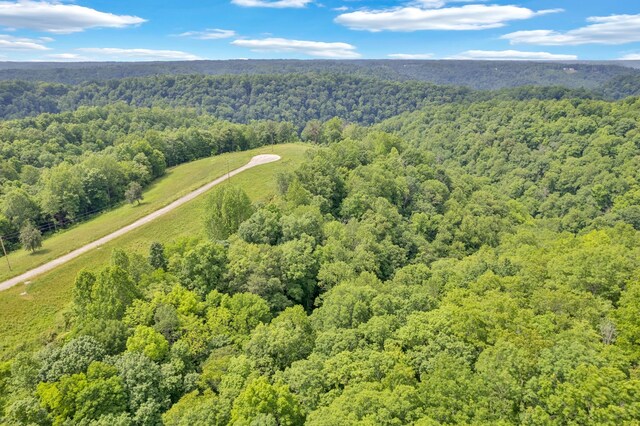 0 H O Allison, Baxter, TN 38544