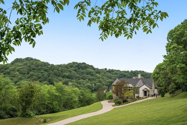 1026 Holly Tree Gap Rd, Brentwood, TN 37027 - photo 2