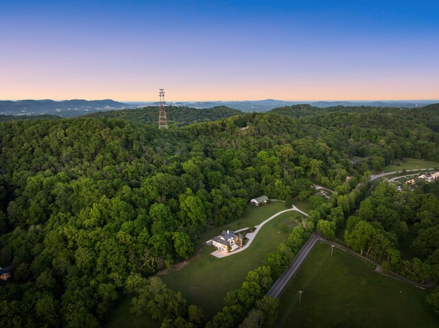 1026 Holly Tree Gap Rd, Brentwood, TN 37027 - photo 57