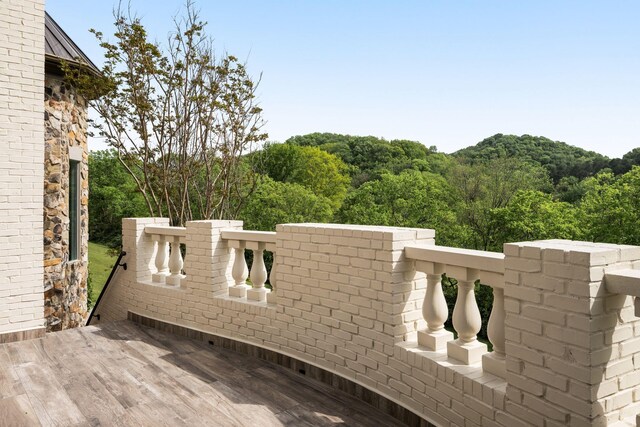 1026 Holly Tree Gap Rd, Brentwood, TN 37027 - photo 30