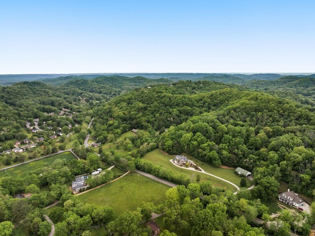 1026 Holly Tree Gap Rd, Brentwood, TN 37027 - photo 58