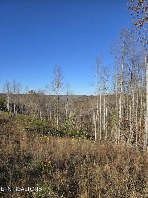 0 Stoney Point Rd, Byrdstown, TN 38549