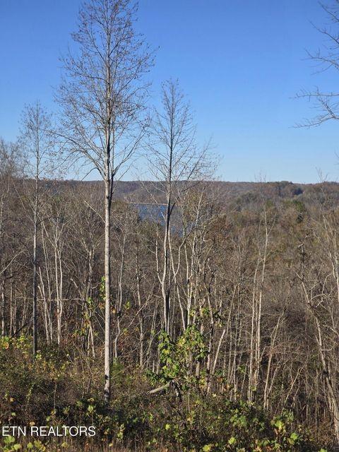 0 Stoney Point Rd, Byrdstown, TN 38549