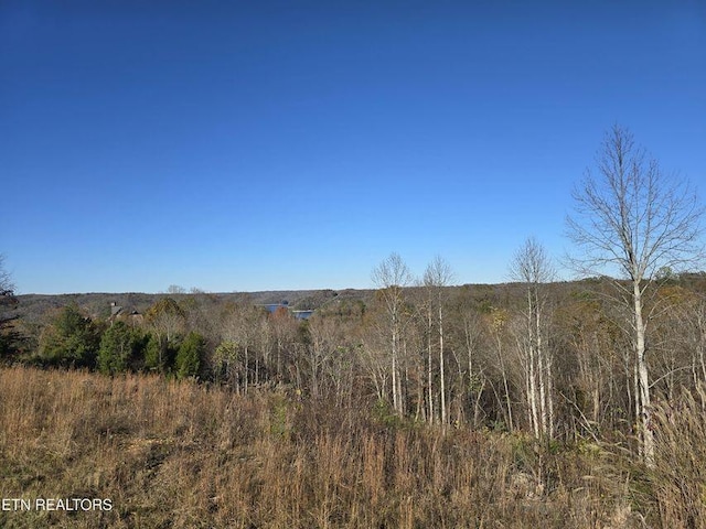 0 Stoney Point Rd, Byrdstown, TN 38549