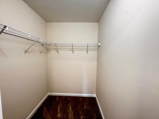 62 Modena Pl, Decherd, TN 37324 - walk in closet featuring carpet