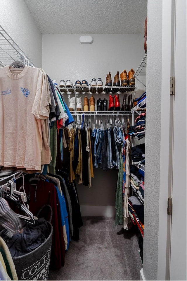 2600 Hillsboro Pike Unit 453, Nashville, TN 37212 - spacious closet featuring carpet floors