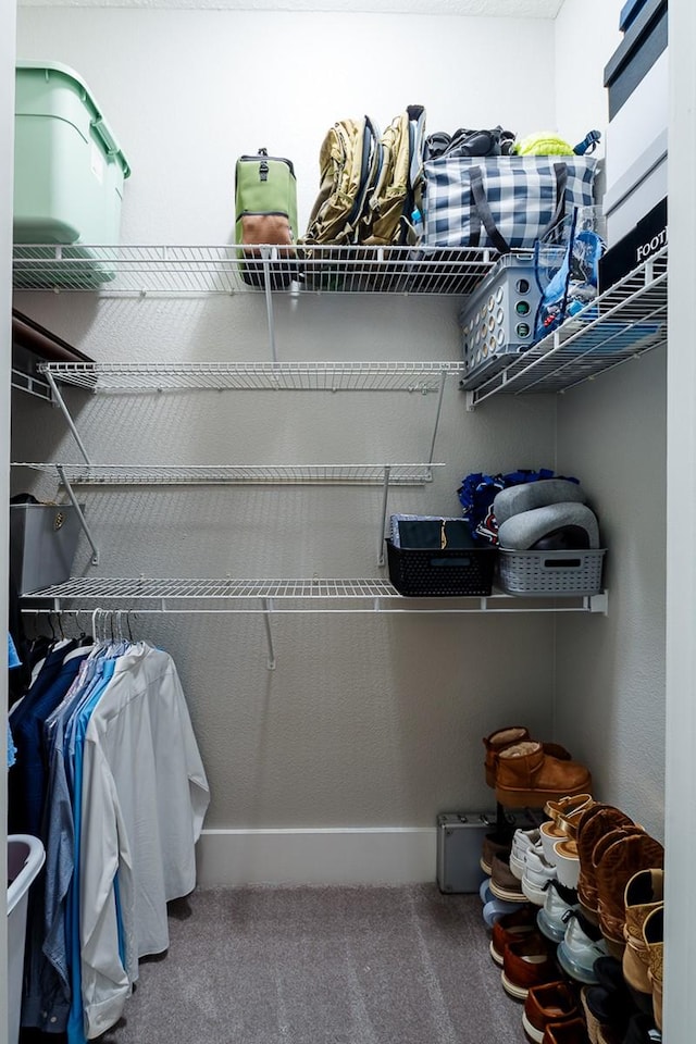 2600 Hillsboro Pike Unit 453, Nashville, TN 37212 - walk in closet with carpet floors