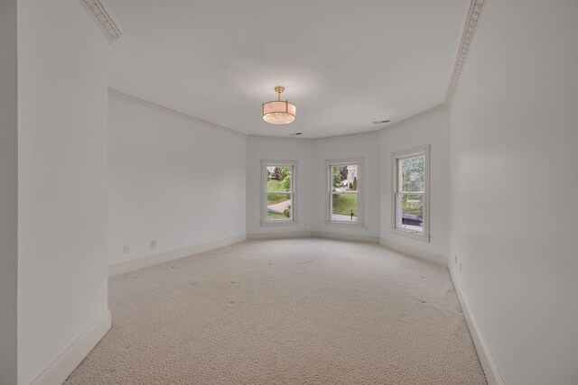 824 Princeton Hills Dr, Brentwood, TN 37027 - photo 53