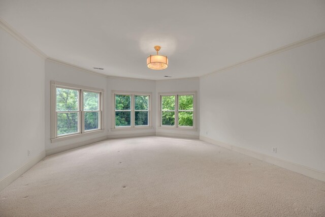 824 Princeton Hills Dr, Brentwood, TN 37027 - photo 49