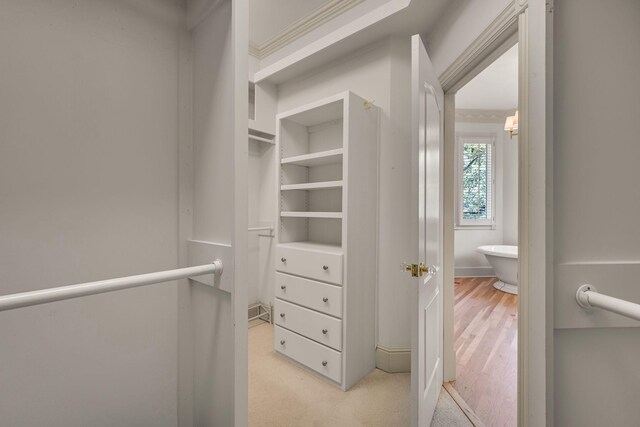 824 Princeton Hills Dr, Brentwood, TN 37027 - photo 42