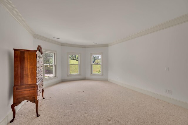 824 Princeton Hills Dr, Brentwood, TN 37027 - photo 57