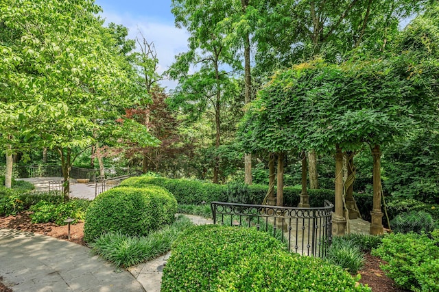 824 Princeton Hills Dr, Brentwood, TN 37027 - photo 77