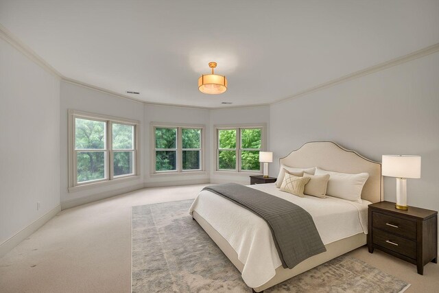 824 Princeton Hills Dr, Brentwood, TN 37027 - photo 48