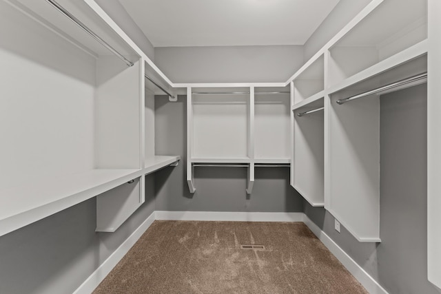 512 River Watch Way, Winchester, TN 37398 - spacious closet with carpet floors