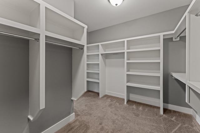 512 River Watch Way, Winchester, TN 37398 - walk in closet featuring carpet