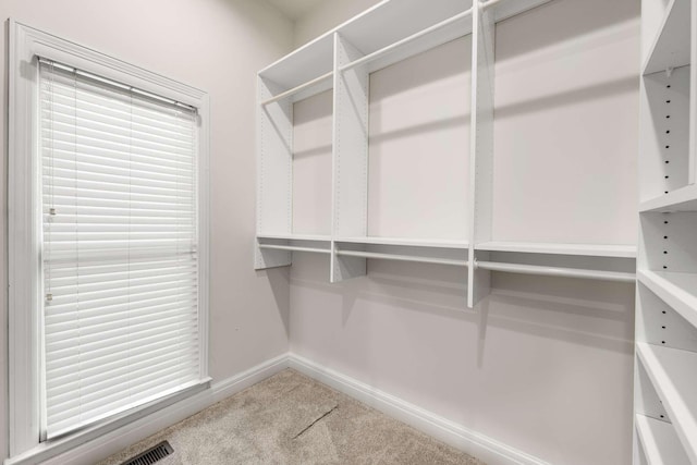 316 Whitworth Way, Nashville, TN 37205 - spacious closet featuring carpet flooring