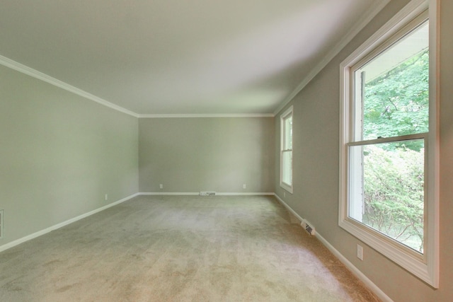 339 Thompson Ln, Clarksville, TN 37040 - empty room with ornamental molding, light colored carpet, and baseboards