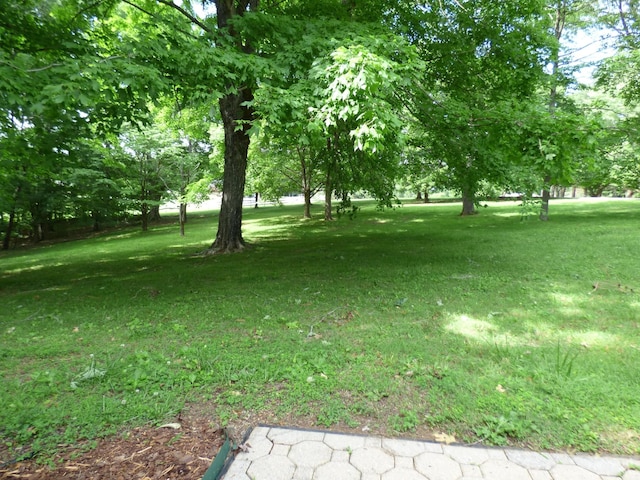 339 Thompson Ln, Clarksville, TN 37040 - view of green lawn