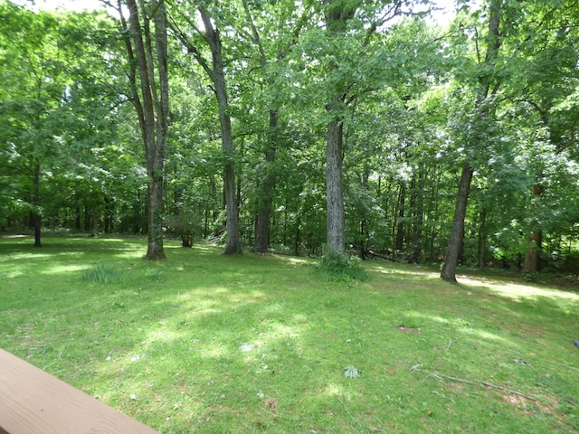 339 Thompson Ln, Clarksville, TN 37040 - view of green lawn with a view of trees