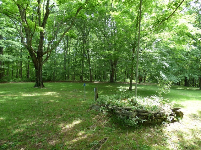 339 Thompson Ln, Clarksville, TN 37040 - view of grassy yard with a forest view