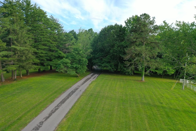 339 Thompson Ln, Clarksville, TN 37040 - view of grassy yard