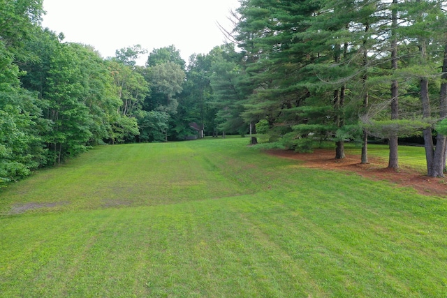 339 Thompson Ln, Clarksville, TN 37040 - view of green lawn