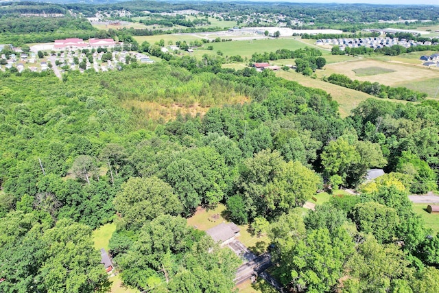 3955 Lynncrest Dr NE, Cleveland, TN 37323 - photo 10