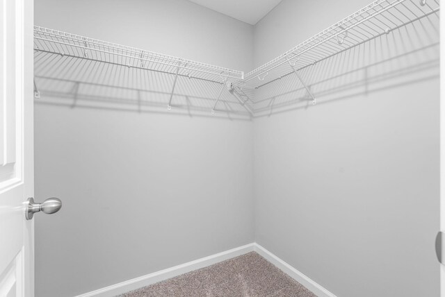 120 Davis Ridge Ln, Clarksville, TN 37040 - photo 18