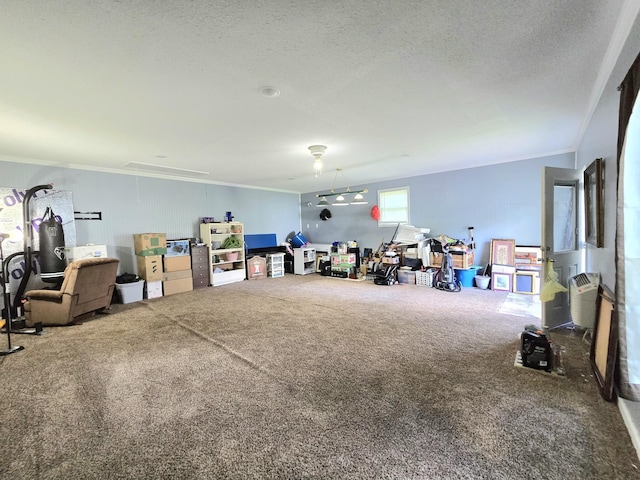 118 Bone Cave Rd, Rock Island, TN 38581 - miscellaneous room with attic access, carpet flooring, crown molding, and a textured ceiling