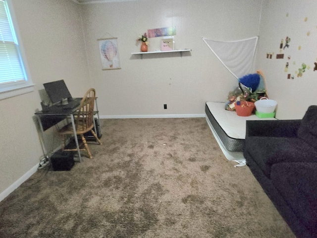118 Bone Cave Rd, Rock Island, TN 38581 - office with carpet floors and baseboards