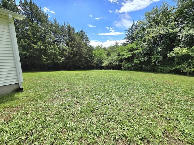 118 Bone Cave Rd, Rock Island, TN 38581 - view of grassy yard with a wooded view