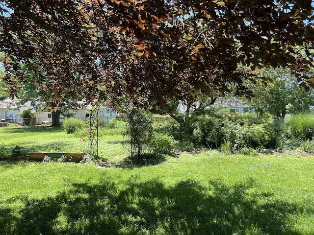 view of grassy yard