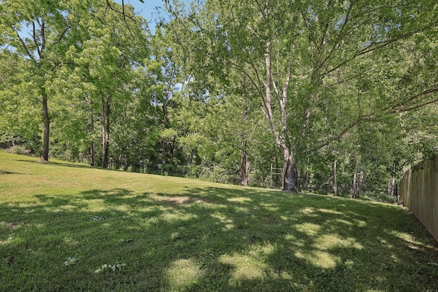 2277 Belotes Ferry Rd, Lebanon, TN 37087 - view of yard