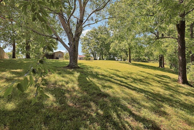 2277 Belotes Ferry Rd, Lebanon, TN 37087 - view of green lawn