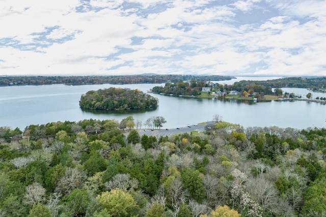 556 Lakeshore Dr, Old Hickory, TN 37138 - water view