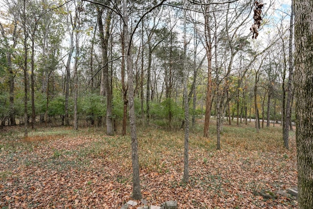 556 Lakeshore Dr, Old Hickory, TN 37138 - view of woods