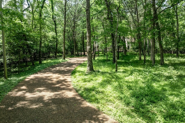 556 Lakeshore Dr, Old Hickory, TN 37138 - view of property's community featuring a forest view